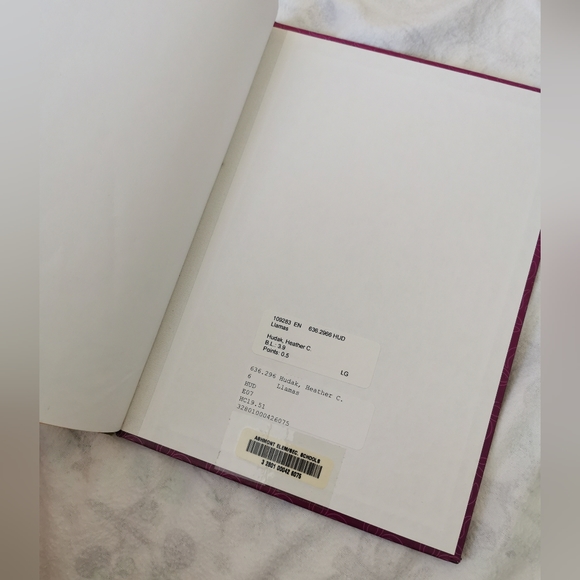 Mixture of Learning Books (Scholastic, Pebble, etc) - Picture 4 of 16